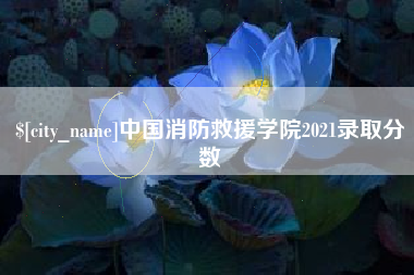 徐州中国消防救援学院2021录取分数