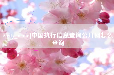 徐州中国执行信息查询公开网怎么查询