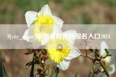 徐州中国消防官网报名入口2024