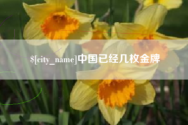 徐州中国已经几枚金牌