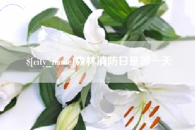 徐州森林消防日是哪一天