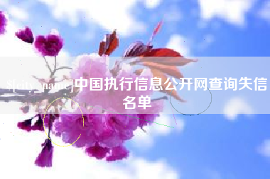 徐州中国执行信息公开网查询失信名单