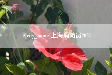 徐州上海消防员2021