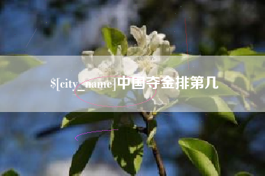 徐州中国夺金排第几