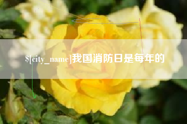 徐州我国消防日是每年的