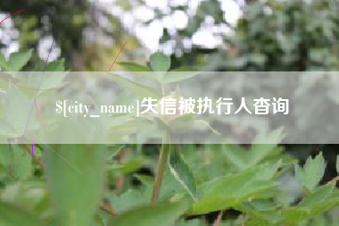 徐州失信被执行人杳询