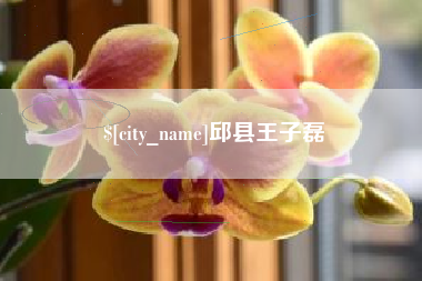 徐州邱县王子磊