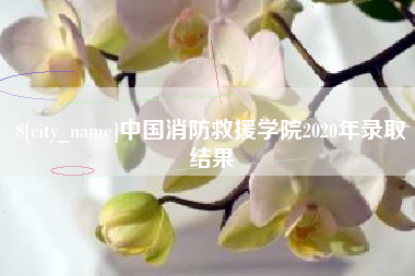 徐州中国消防救援学院2020年录取结果