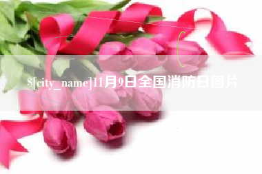徐州11月9日全国消防日图片