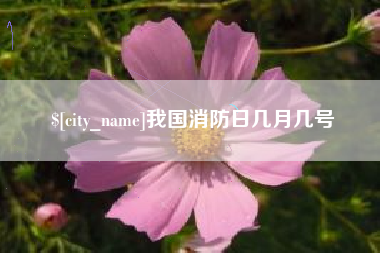 徐州我国消防日几月几号