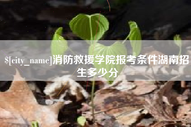 徐州消防救援学院报考条件湖南招生多少分
