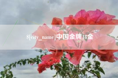 徐州中国金牌18金