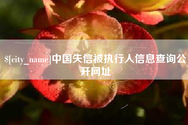 徐州中国失信被执行人信息查询公开网址