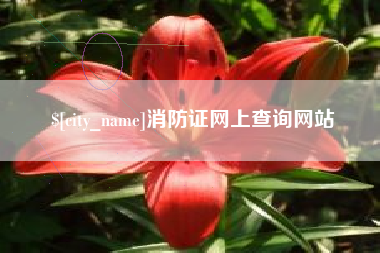徐州消防证网上查询网站
