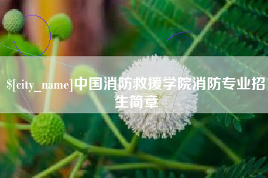 徐州中国消防救援学院消防专业招生简章