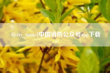 徐州中国消防公众号app下载