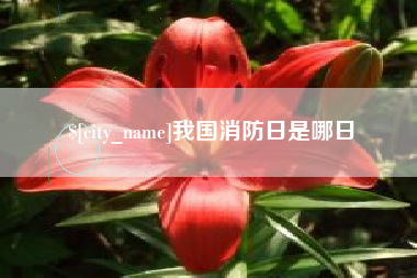 徐州我国消防日是哪日