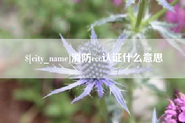 徐州消防ccc认证什么意思