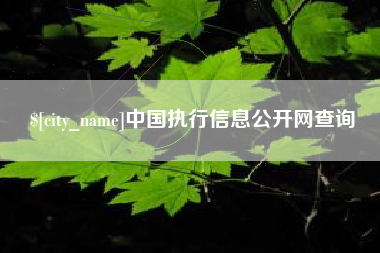 徐州中国执行信息公开网查询