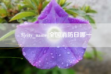 徐州全国消防日哪一