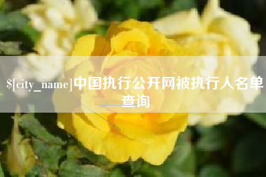 徐州中国执行公开网被执行人名单查询