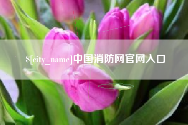 徐州中国消防网官网入口