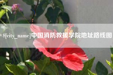 徐州中国消防救援学院地址路线图