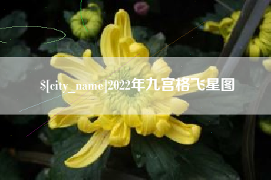 徐州2022年九宫格飞星图