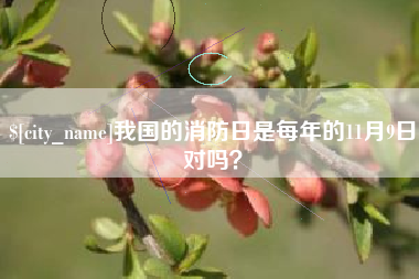 徐州我国的消防日是每年的11月9日对吗？