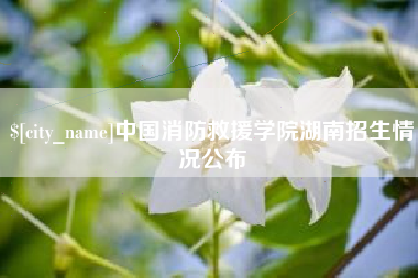 徐州中国消防救援学院湖南招生情况公布
