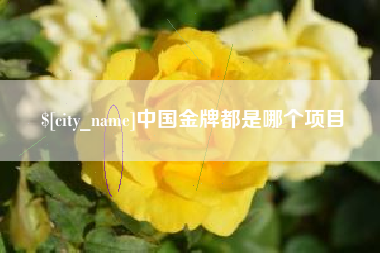 徐州中国金牌都是哪个项目
