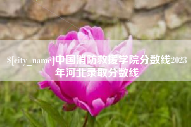 徐州中国消防救援学院分数线2023年河北录取分数线