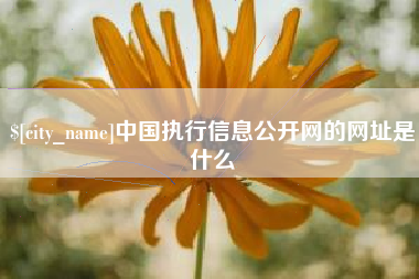 徐州中国执行信息公开网的网址是什么