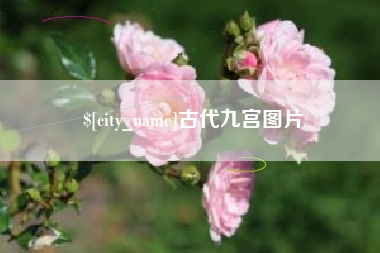 徐州古代九宫图片