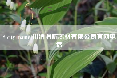 徐州川消消防器材有限公司官网电话