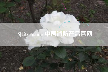 徐州中国消防产品官网