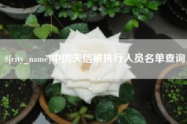 徐州中国失信被执行人员名单查询