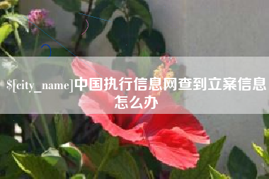 徐州中国执行信息网查到立案信息怎么办