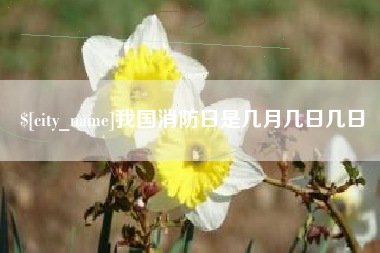 徐州我国消防日是几月几日几日