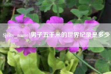 徐州男子五千米的世界纪录是多少