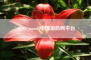 徐州中国消防网平台