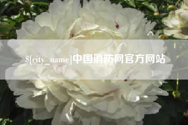 徐州中国消防网官方网站