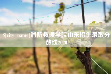 徐州消防救援学院山东招生录取分数线2020