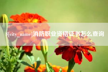 徐州消防职业资格证书怎么查询