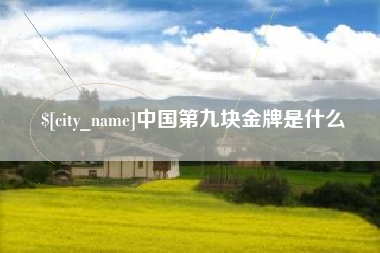 徐州中国第九块金牌是什么