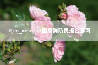 徐州2021国家消防员报名官网