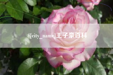 徐州王子豪百科
