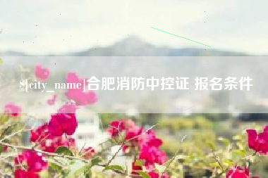 徐州合肥消防中控证 报名条件