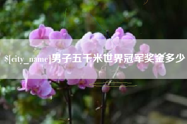 徐州男子五千米世界冠军奖金多少