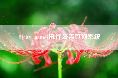 徐州执行公告查询系统